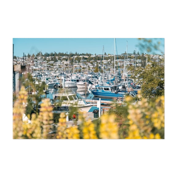 Anacortes Harbor - Anacortes Washington Photography Harbor Boat Seascape Nautical Port Maritime Coastal Unframed Wall Art Print 32 x 48 inches