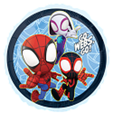 18C HX SPIDEY & HIS AMAZING FRIENDS