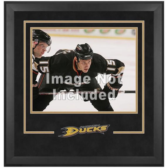 Anaheim Ducks Deluxe 16" x 20" Horizontal Photograph Frame