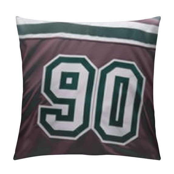 Anaheim Hockey Jersey Pillow Cover, Great Gift for Ducks Fans, Dad Gift, Hockey Gift, Man Cave, Sports Gift, Hockey Fan, Pillow, Gift