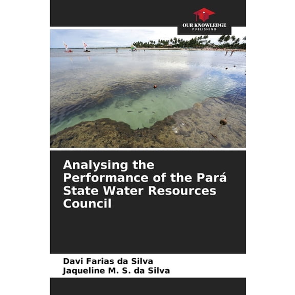 Analysing the Performance of the Par State Water Resources Council, (Paperback)