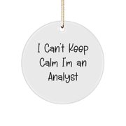 Analytically Calm Im an Analyst Funny Circle Ornament Gift for Him from Friends and Coworkers Gifts for Men