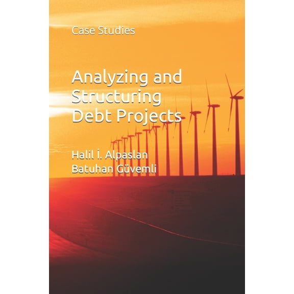 Analyzing and Structuring Debt Projects: Case Studies, (Paperback)