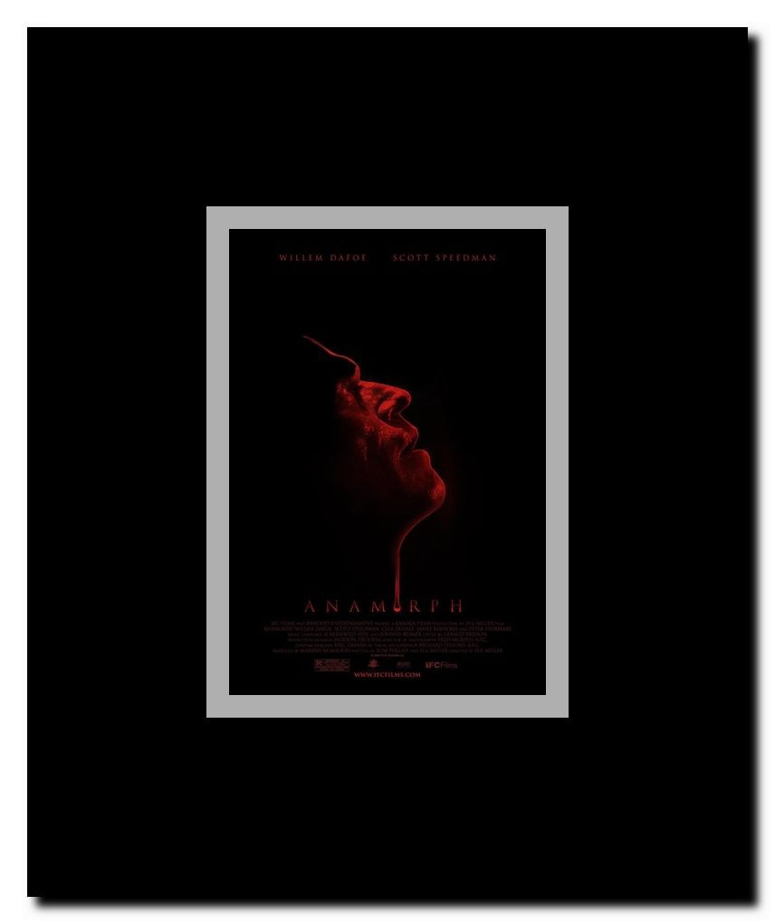 Anamorph Framed Movie Poster