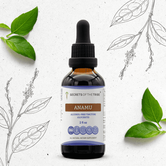 Secrets Of The Tribe Anamu Tincture Dietary Supplement, Natural Herbal Extract for Immune Support, Jamaican Guinea Hen Weed (Petiveria alliacea) Dried Herb, Alcohol-Free Extract, Drops 2 oz