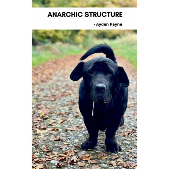 Anarchic Structure, (Paperback)