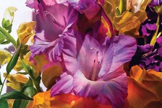 Anas Garden Canvas Art - Mike Calascibetta (12 x 18)