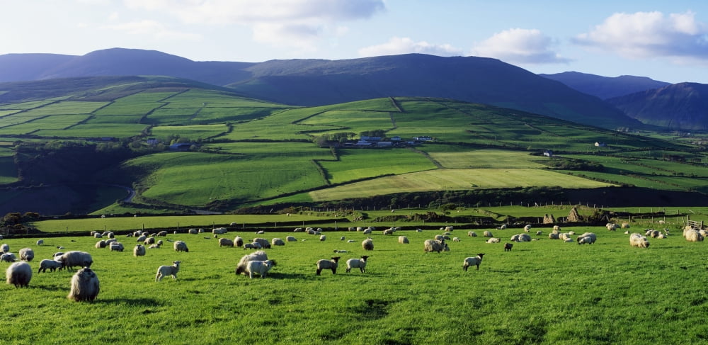 Anascual Dingle Peninsula Co Kerry Ireland Canvas Art - The Irish Image Collection Design Pics (21 x 10)
