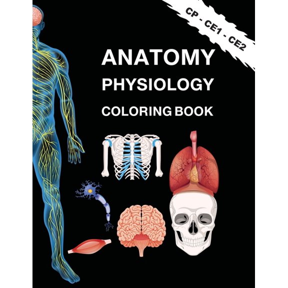 Anatome, Physiologie, Livre de coloriage pour les enfants : ducation ludique interactive (Paperback)