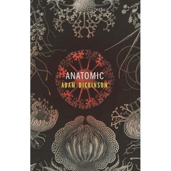 Anatomic (Paperback)