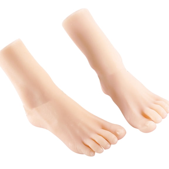 Anatomical Foot Replicas Size 36 Shoe Display Foot Model Suitable for Education Artistic Anatomy Study Shoe Photography