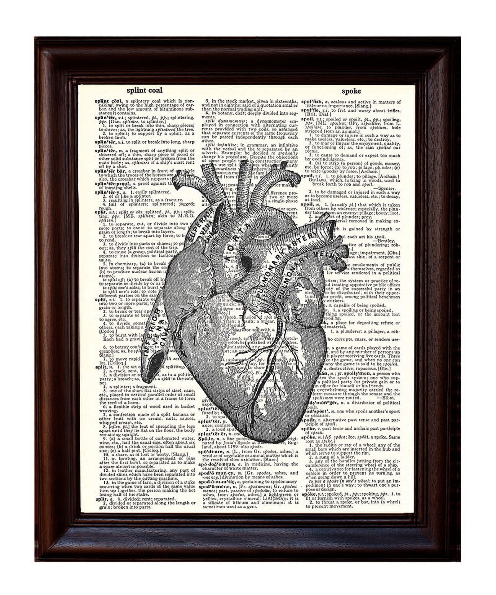 Anatomical Heart - Dictionary Art Print Printed On Authentic Vintage ...