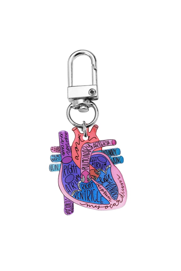 Anatomical Heart Keychain Pendant Educational Keyrings Accessory for Physical Students and Healthcare Professionals
