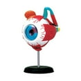 thumbnail image 1 of Eye Model 32Parts DIY Teaching Tool Educational Equipment Anatomical Model, 1 of 6
