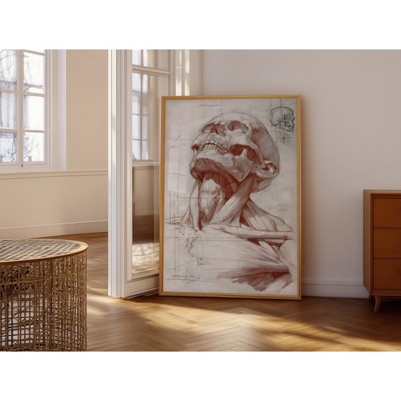 Anatomical Skull Study Intricate Skeletal Structure Artistic Anatomy Illustration Perfect for Medical Enthusiasts Wall Art