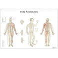 thumbnail image 1 of Anatomical chart: acupuncture body, laminated, 1 of 1