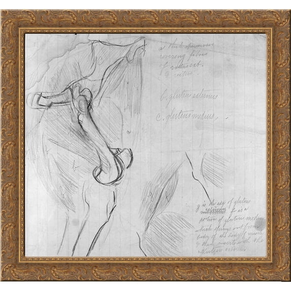 Anatomical drawing 24x20 Gold Ornate Wood Framed Canvas Art by Thomas Eakins