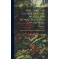 thumbnail image 1 of Anatomie Der Laubblätter Und Stengel Der Hypericaceae Und Cratoxyleae: Ferner Anatomie Der Typhaceae Und Sparganiaceae... (Hardcover), 1 of 1