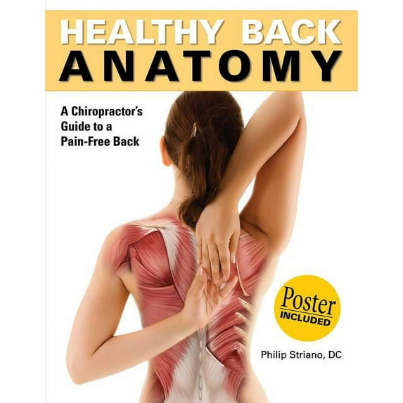 Anatomies of: Healthy Back Anatomy (Paperback)