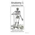 thumbnail image 1 of Pre-Owned Anatomy 1 Laboratory Text: Human Anatomy Paperback, 1 of 1