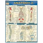 Anatomy 2 - Reference Guide 8.5 x 11 a QuickStudy Laminated Reference Guide Other