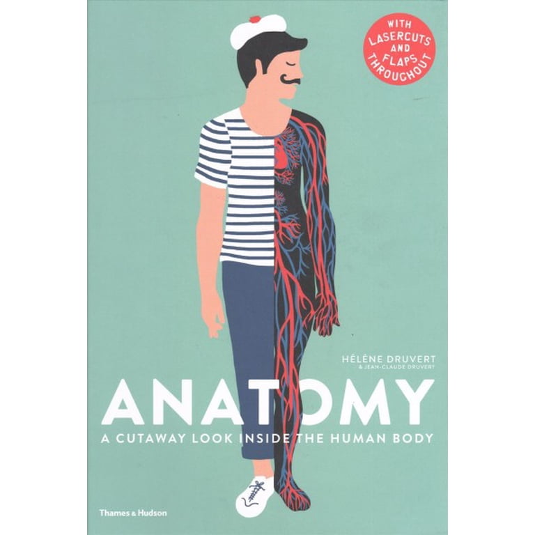 Anatomy: A Cutaway Look Inside the Human Body - Walmart.com