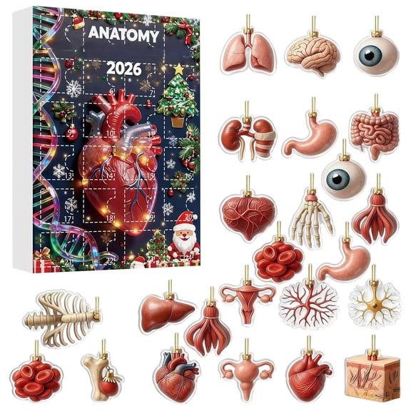 Anatomy Advent Calendar 2026, 2D Acrylic Human Organ Hanging Ornaments Blind Box for Christmas Tree Backpack Car Mantel Holiday Home Decor, 24 Pcs