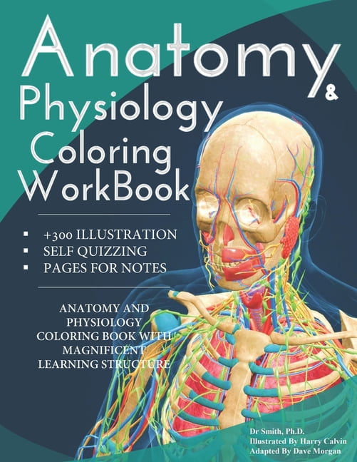 Complete　And　A　(Paperback)　Study　Physiology　Anatomy　Workbook:　Coloring　Guide