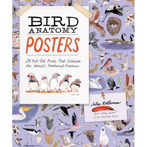 Bird Anatomy Posters: 28 Pull-Out Prints That Celebrate the World's Feathered Creatures