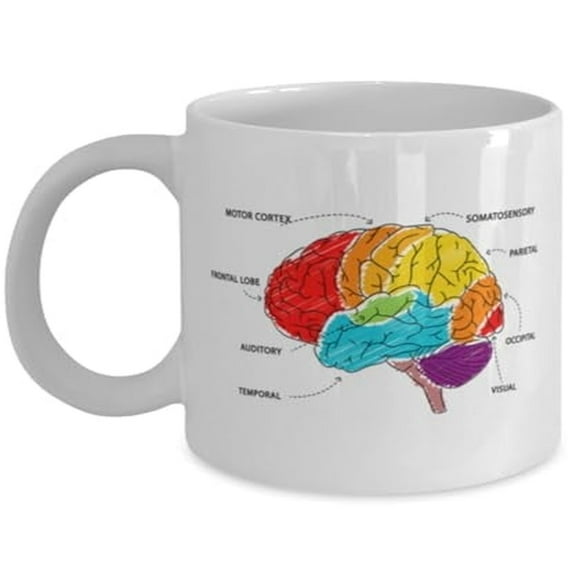 Anatomy 11 oz Coffee Mug - Brain Regions White Ceramic Gift