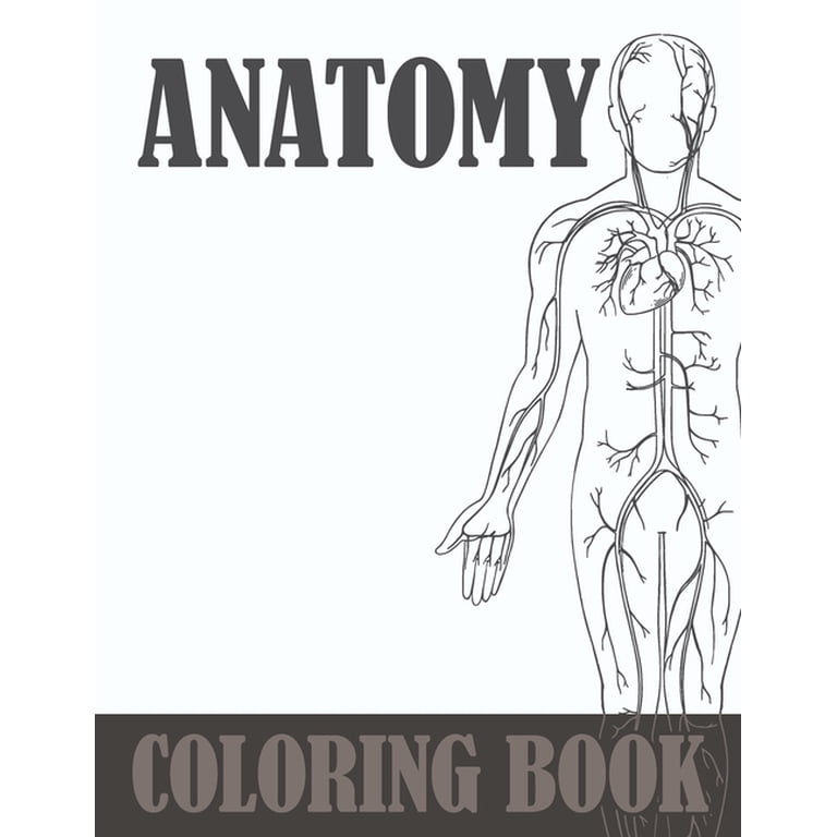 Human Drawinds Body Drawings Of Human Body