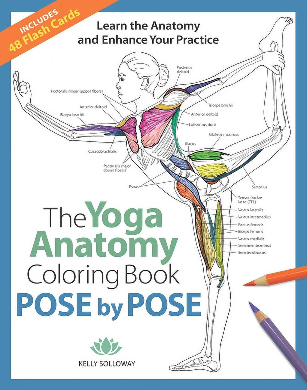 KELLY SOLLOWAY; SAMANTHA STUTZMAN Anatomy Coloring Books The Yoga Anatomy Coloring Book: Pose by Pose: Learn the Anatomy and Enhance Your Practice - An Educational Anatomy Color, (Paperback)