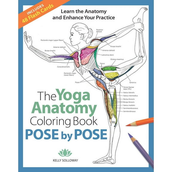 Anatomy Coloring Books The Yoga Anatomy Coloring Book: Pose by Pose: Learn the Anatomy and Enhance Your Practice - An Educational Anatomy Color, (Paperback)