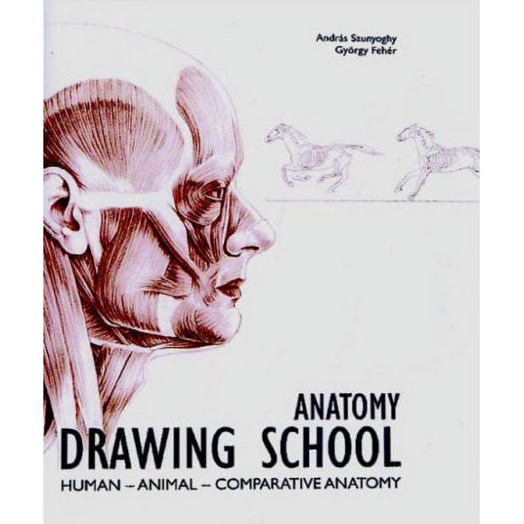 Anatomy Drawing