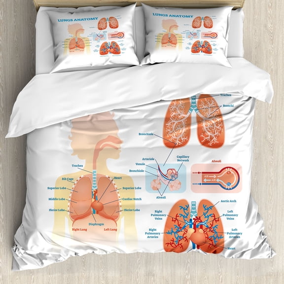 Anatomy Duvet Cover Set, Lungs Structure Bronchi Parts Biology Plain Background, Decorative 3 Piece Bedding Set with 2 Pillow Shams, Queen Size, Pale Peach Pale Blue, by Ambesonne