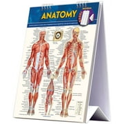 VINCENT PEREZ Anatomy Easel Book : a QuickStudy reference tool (Other)