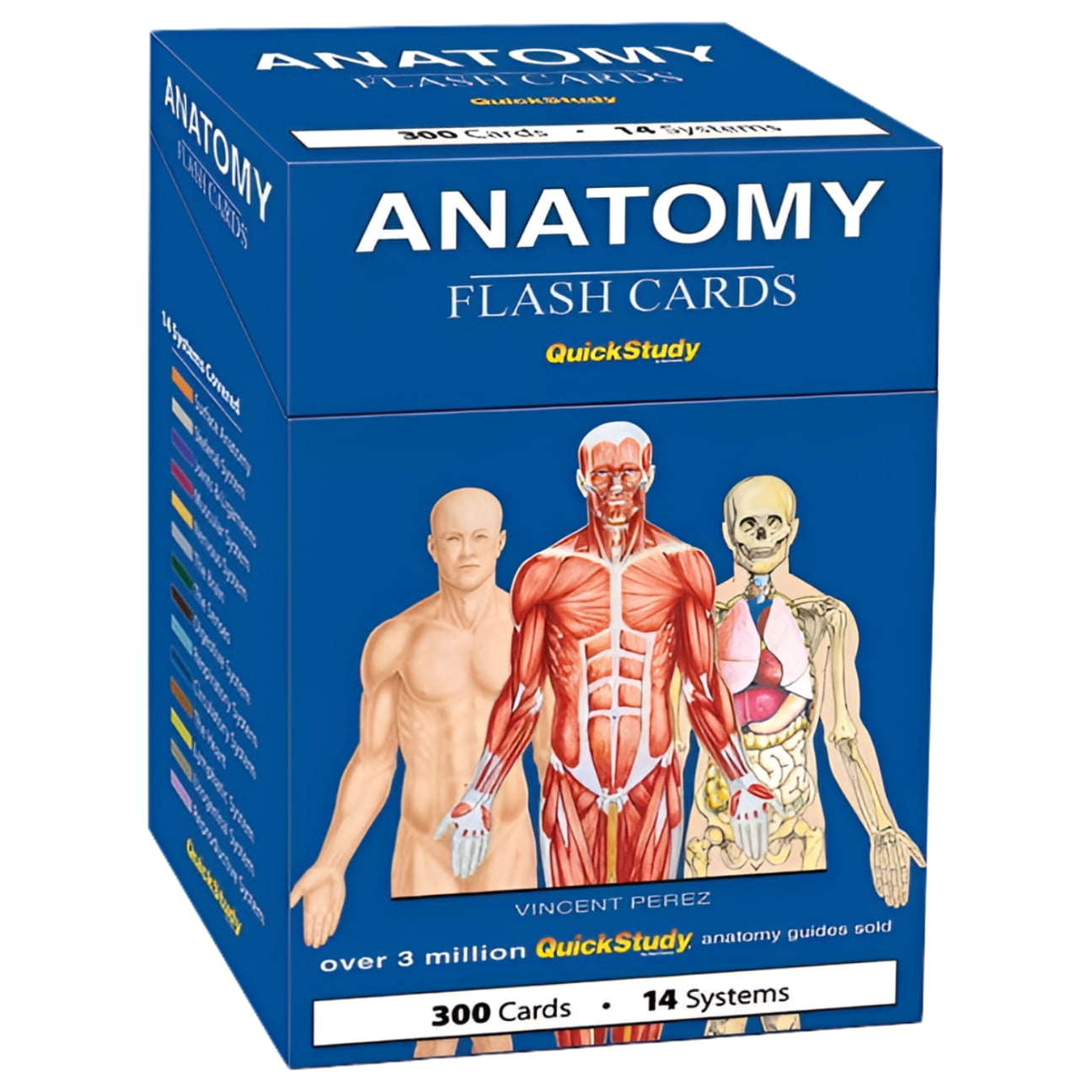 VINCENT PEREZ Anatomy Flash Cards : a QuickStudy reference tool (Cards)