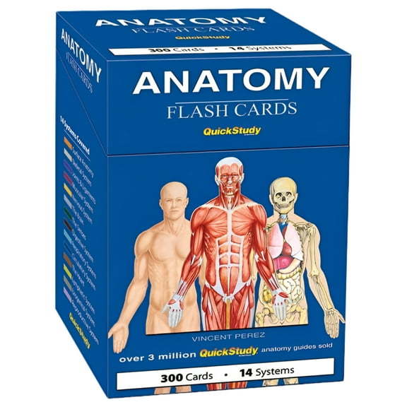 Anatomy Flash Cards: A Quickstudy Reference Tool (Other)