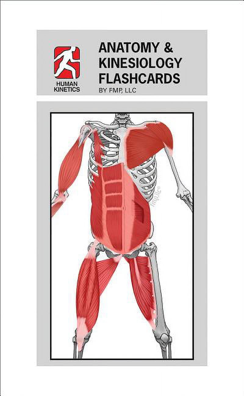 Anatomy & Kinesiology Flashcards (Other) - Walmart.com