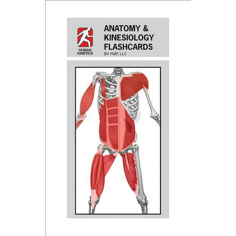 Anatomy & Kinesiology Flashcards (Other) - Walmart.com