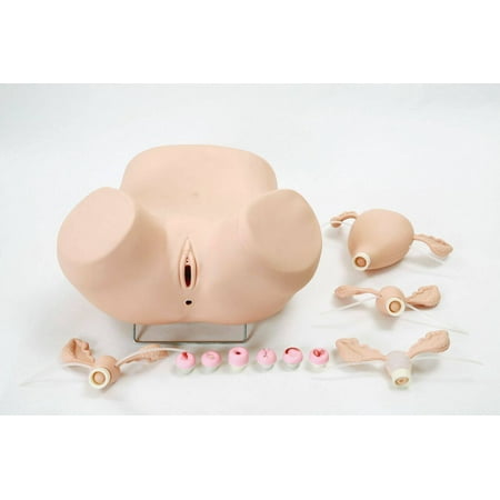 Anatomy Lab Advanced Gynecologic Simulator