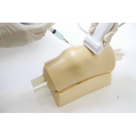 Anatomy Lab Knee Arthrocentesis Ultrasound Training Model