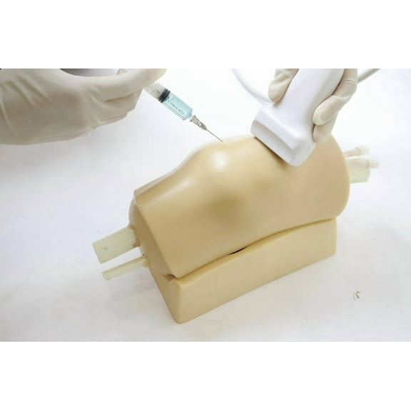 Anatomy Lab Knee Arthrocentesis Ultrasound Training Model