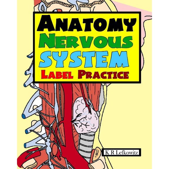 Anatomy Nervous System Label Practice
