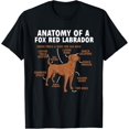 thumbnail image 1 of Anatomy Of A Fox Red Labrador Retriever Foxred Lab T-ShirtMen and women can wear, black T-shirts, gifts. Age: M,L，XL 2XL, 3XL, 26XL, 1 of 4