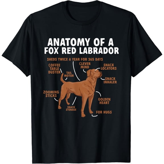 Anatomy Of A Fox Red Labrador Retriever Foxred Lab T-ShirtMen and women can wear, black T-shirts, gifts. Age: M,L,XL 2XL, 3XL, 26XL