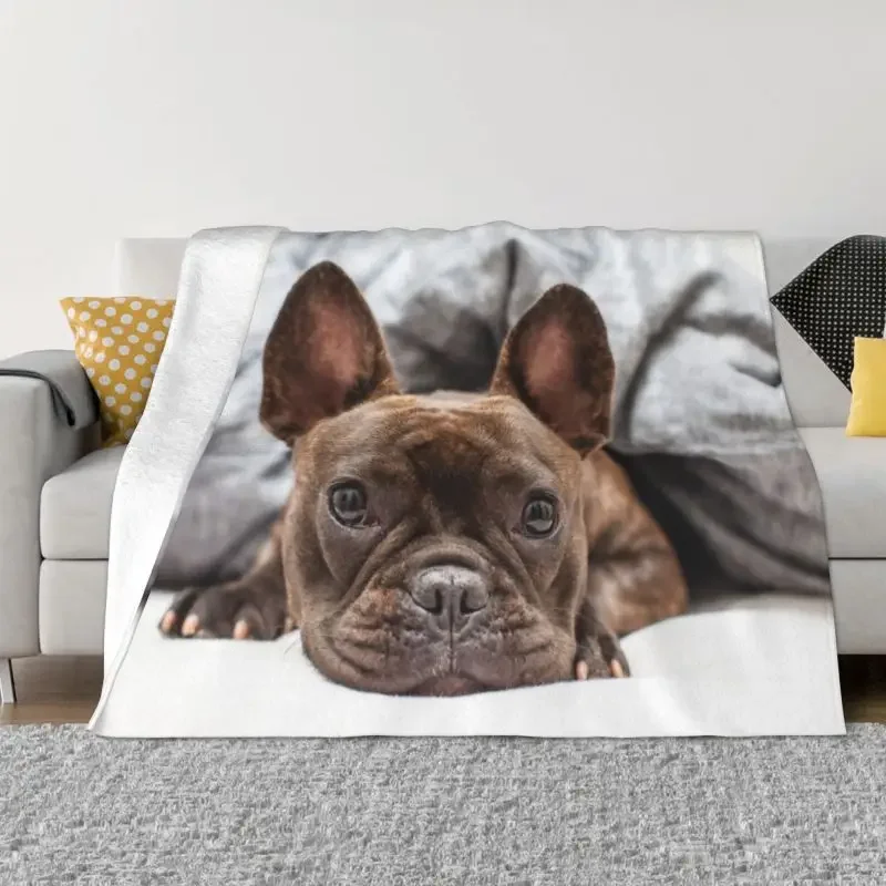 Anatomy Of A French Bulldog Blankets Comfortable Soft Flannel Autumn