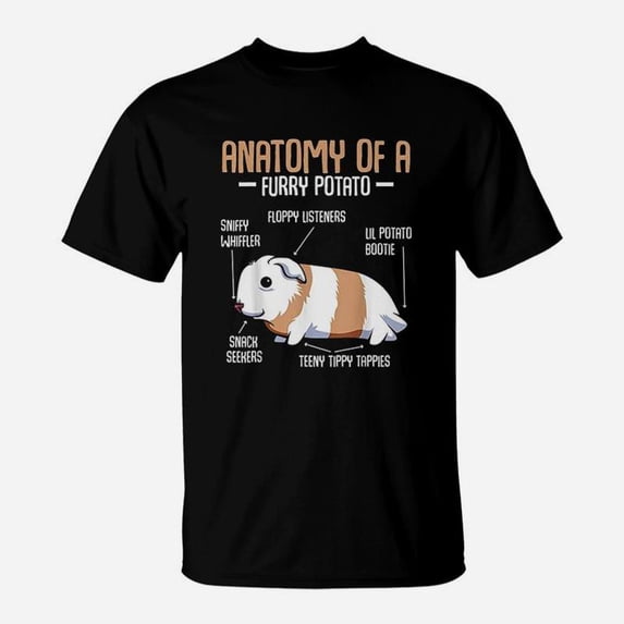 Curated visual reference: Gallery Detail: Anatomy Of A Furry Potato Guinea Pig Household Pet Animal