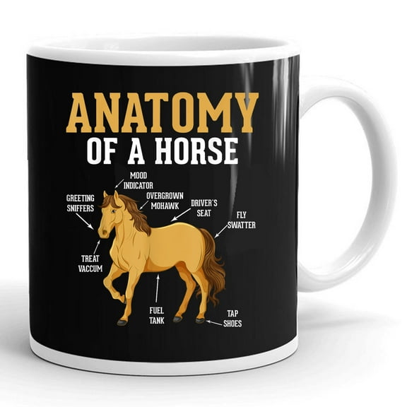 Anatomy Of A Horse Funny Equestrian Horse Lovers Gift Ceramic Mug 11oz (White;11oz)