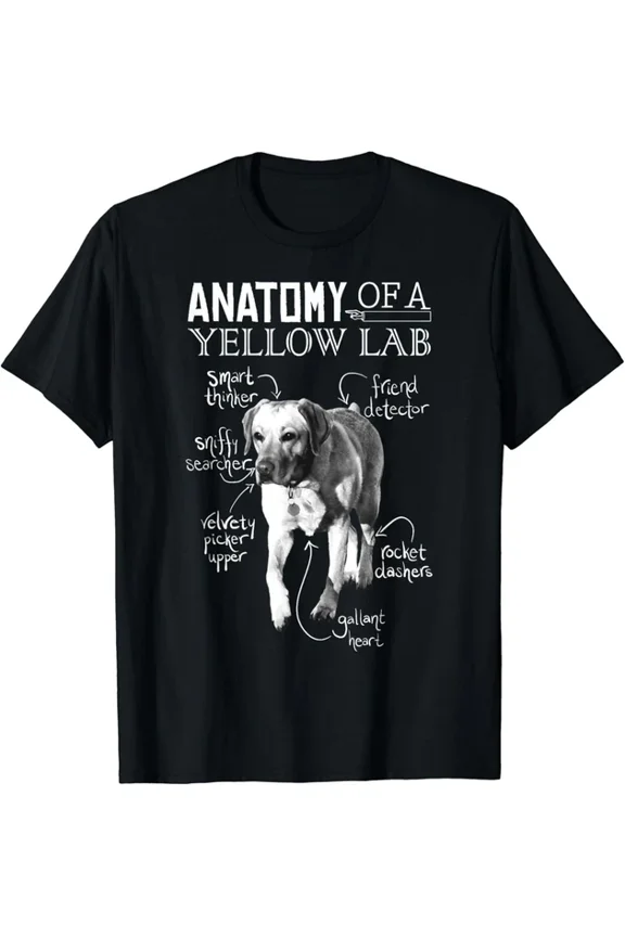 Anatomy Of A Yellow Lab Chalkboard, Labrador Retriever Lover Gift T-Shirt Unisex S-5XL Hot Trending Shirt, Vintage Birthday Gift